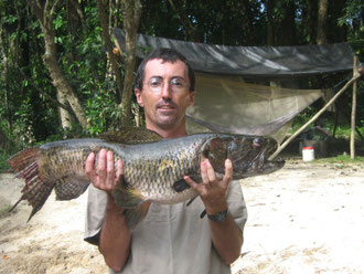 week-end découverte de la nature en guyane: balade en crique