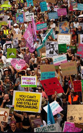 Foto @saveanimals.club