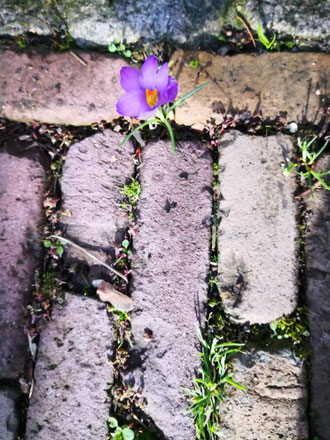 Der Frühling kann kommen....