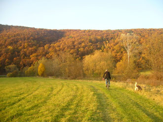 Wiesenwege entlang der fränkischen Saale.