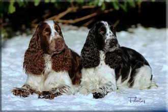 Unser Liebespärchen Luke & Minna