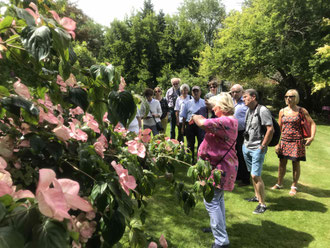 Des visiteurs admirant le 3 juin les tulipes du Tulipier de Virginie