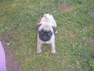 Estelle , Spitzname Propellermoppi