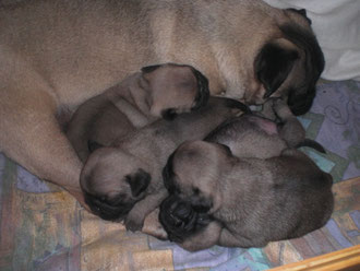 Am schönsten ist das Familienkuscheln