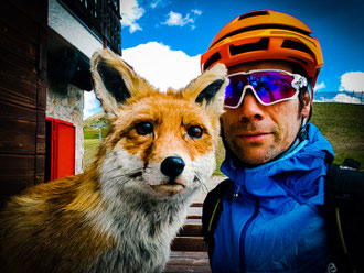 Fuchs und Hase auf einer Biketour in Livigno