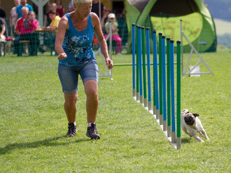 Klein, aber oho! Mops Lilly beim Slalom zusammen mit Frauchen Christine Kroner   Foto: Rosenlehner