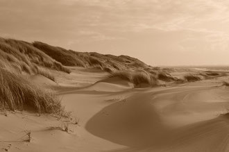 Nordseeliebe