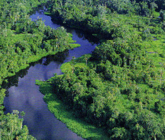 Il fiume Kourou visto dal cielo