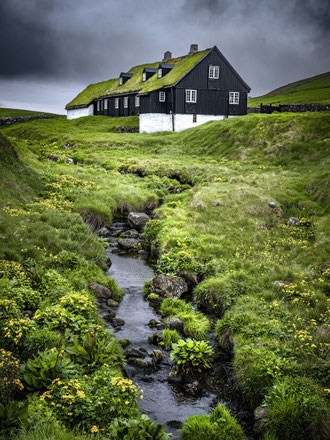 Viðareiði