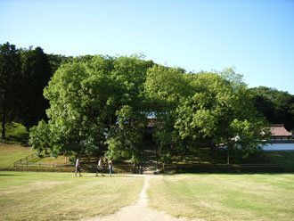 和気山野に漂う