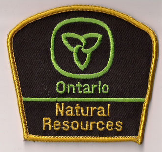 Ontario - Natural Resources  (Fond brun / Brown background)  (Gros modèle / Big size model)  (Ancien / Obsolete)  (Usagé / Used)  1x