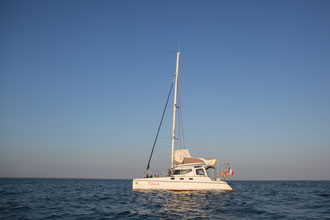 location catamaran arcachon