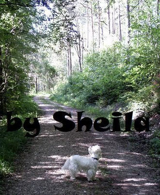 im Wald