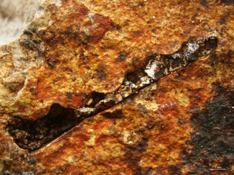 Abb. 9a: Knochenplatte im Querschnitt