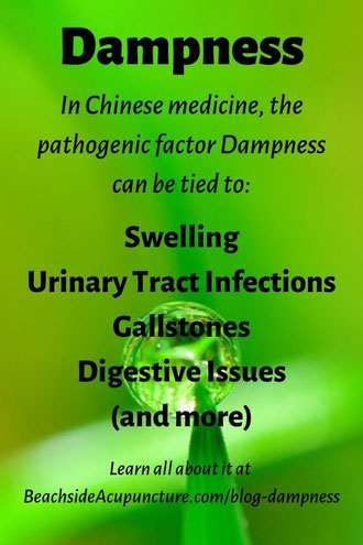 In TCM, the pathogen Dampness can be tied to swelling, UTI, gallstones, digestive issues, and more.