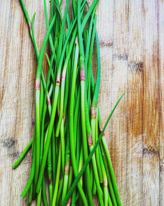 Garlic Scapes - November 2020