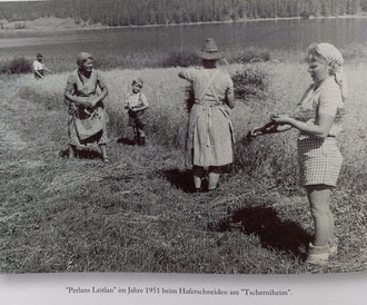 Perl, Haferschneiden, 1951, Tscherniheim