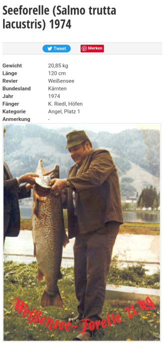 Seeforelle, 1974,