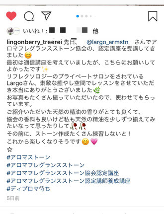 @lingonberry_treerei