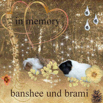 Danke Dani und Christina! Ist so lieb von Euch