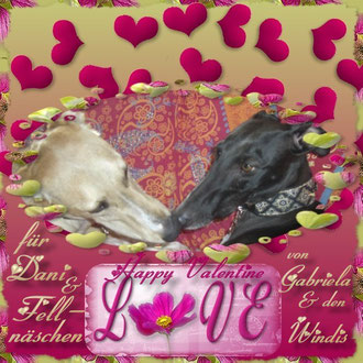 Danke vielmals liebe Gabriela, Rayo und Lucy