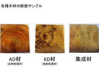 各種木材の断面サンプル