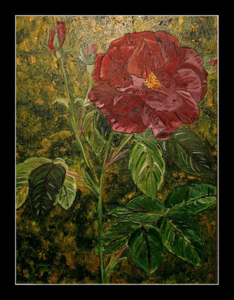 Rose in Öl  30 x 40