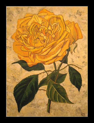 Rose in Öl 30 x 40