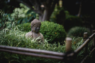 Buddha i en trädgård