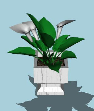 plante