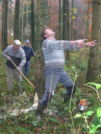 Unser Jubiläumsnarrenbaum wird ausgemesse.............