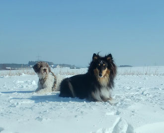 Cleo und Shadow finden´s natürlich auch draußen toll.