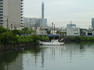 横浜市神奈川区・星野橋付近の舟