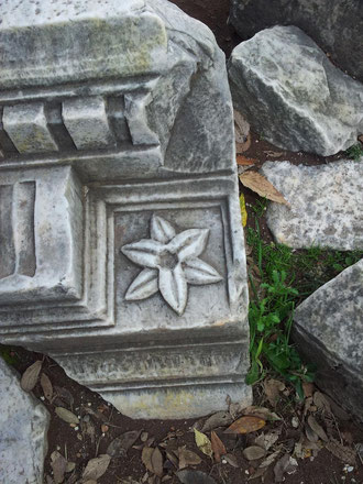 Flores en las ruinas