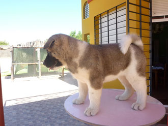 Adara con 2 meses
