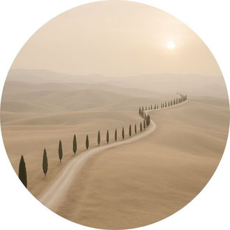 Sanft geschwungene Dünenlandschaft im Morgenlicht – Symbol für innere Rückverbindung und den Weg zur eigenen Frequenz.
