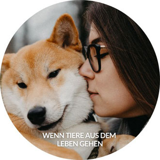Wenn Tiere aus dem Leben gehen