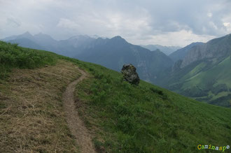 N°12/ La Pierre levée de Pirait entre la Fontaine de Bounissère et le Cromlech ou rond de pierres de Pirait : fauchage idéal pour le VTT et de l'herbe fine en perspective pour les troupeaux !