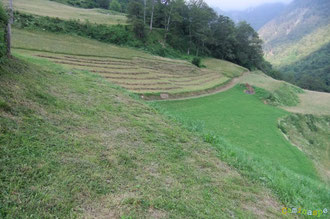 N°42/ Le chemin parfaitement fauché traverse la propriété Larrouy entretenue à l'ancienne, avec passion et goût. Il faudra une journée de soleil en plus pour que le foin, serré ce soir en andains, puisse être assez sec à engranger ...