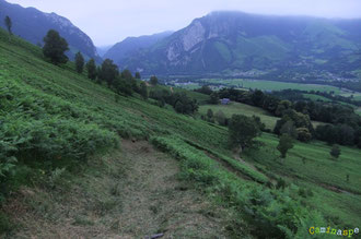 N°24/ Depuis le haut du Plateau de Soudious, un chemin fauché raz et large : un plaisir pour les randonneurs et les vététistes aptes pour une piste rouge !