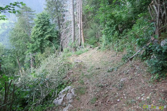 N°22/ Une fois dans le Bois de Chimits, le début du sentier est parfaitement fauché, ras et large : on apprécie ce chemin créé à la fin du XIXè siècle pour planter une forêt de protection contre les avalanches pour le village d'Aydius.