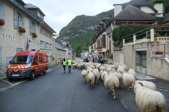 Urdos, tel qu'on aime le voir, encombré de brebis et de touristes.