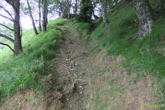 N°3 Le Chemin de Bosdapous sous les Granges Castéra : fauché large et raz