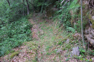 N°42/ Un effondrement du chemin dans le Bois de Busteigts : une murette pourait être reconstruite en bordure avec des pierres éboulées sur le chemin 20 m plus loin, en travaillant à la main, ne rien perdre !