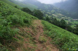 N°1/ Dépassant la Propriété Mirandette, le chemin à travers fougeraie se prolonge jusqu'à la Piste Pastorale de Guiche. La future extension envisagée de l'itinéraire sera le Col de Marie-Blanque par le Chemin des Résistants ...