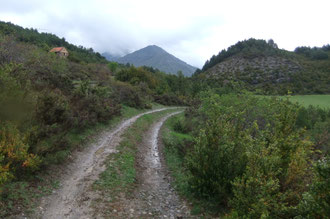 Garrigue entre Siresa et Hecho