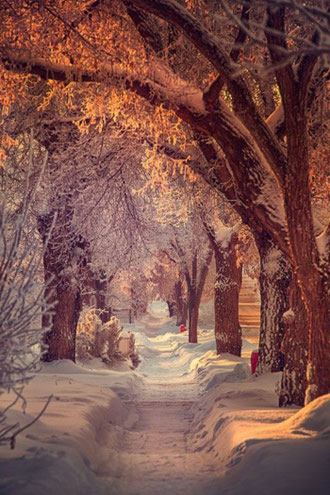 Crédit photo :  https://archzine.net/lifestyle/art/80-coole-winterbilder-zum-inspirieren-2021/