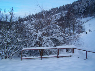 La terrasse sous la neige
