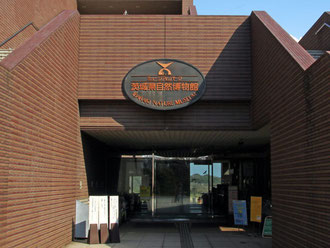 　茨城県自然博物館