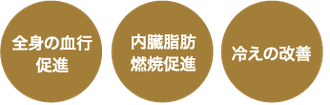 内臓脂肪燃焼促進　冷えの改善